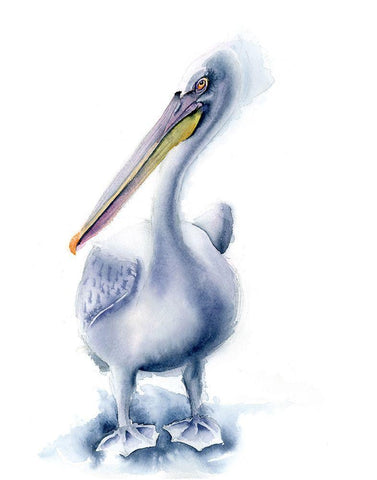 Pelican Blue White Modern Wood Framed Art Print with Double Matting by Shefranov, Olga