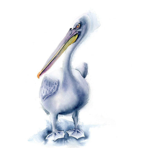 Pelican Blue Black Modern Wood Framed Art Print by Shefranov, Olga