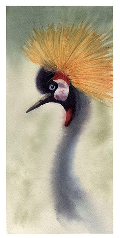 Mohawk Black Ornate Wood Framed Art Print with Double Matting by Shefranov, Olga