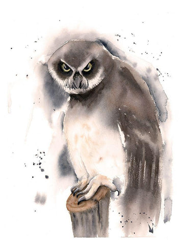 Mad Black Ornate Wood Framed Art Print with Double Matting by Shefranov, Olga