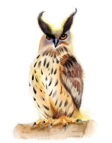 Miranda Black Ornate Wood Framed Art Print with Double Matting by Shefranov, Olga