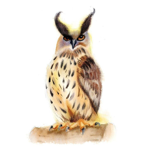 Miranda Black Modern Wood Framed Art Print by Shefranov, Olga