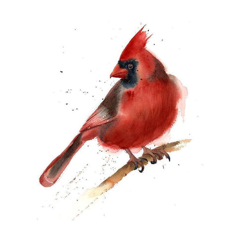 Cardinal White Modern Wood Framed Art Print by Shefranov, Olga