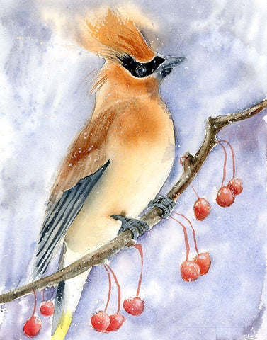 Proud White Modern Wood Framed Art Print with Double Matting by Shefranov, Olga