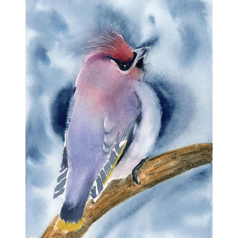 Perched II Black Modern Wood Framed Art Print with Double Matting by Shefranov, Olga