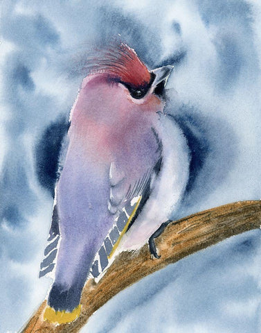 Perched II Black Ornate Wood Framed Art Print with Double Matting by Shefranov, Olga