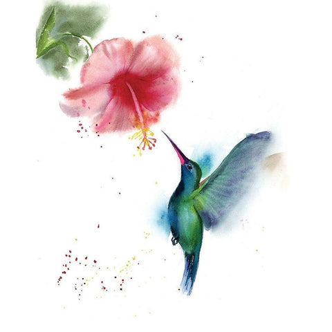 Hummingbird II White Modern Wood Framed Art Print by Shefranov, Olga