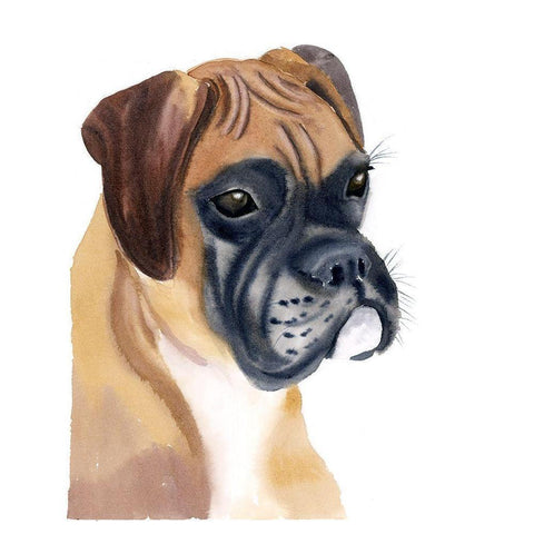 Boxer Babe White Modern Wood Framed Art Print by Shefranov, Olga