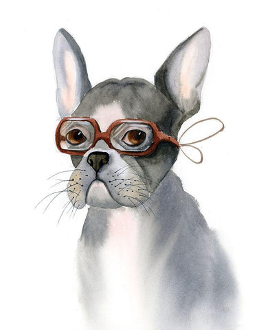 Frenchie White Modern Wood Framed Art Print with Double Matting by Shefranov, Olga