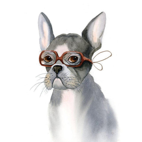 Frenchie White Modern Wood Framed Art Print by Shefranov, Olga