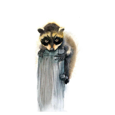 Baby Raccoon White Modern Wood Framed Art Print by Shefranov, Olga