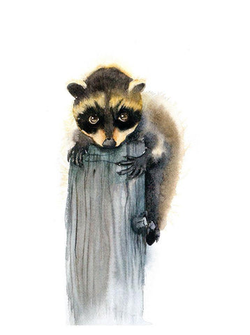 Baby Raccoon Black Ornate Wood Framed Art Print with Double Matting by Shefranov, Olga
