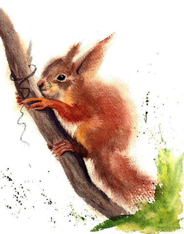 Squirrel Black Ornate Wood Framed Art Print with Double Matting by Shefranov, Olga