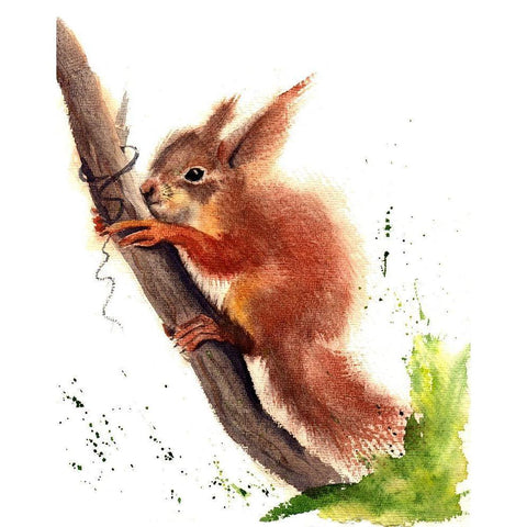 Squirrel Black Modern Wood Framed Art Print by Shefranov, Olga