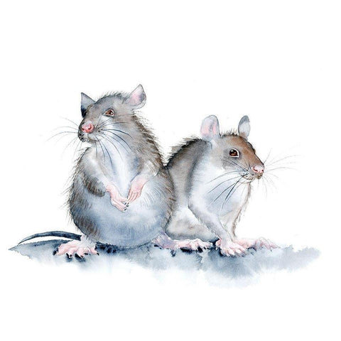 Mice White Modern Wood Framed Art Print by Shefranov, Olga