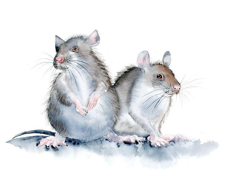 Mice Black Ornate Wood Framed Art Print with Double Matting by Shefranov, Olga