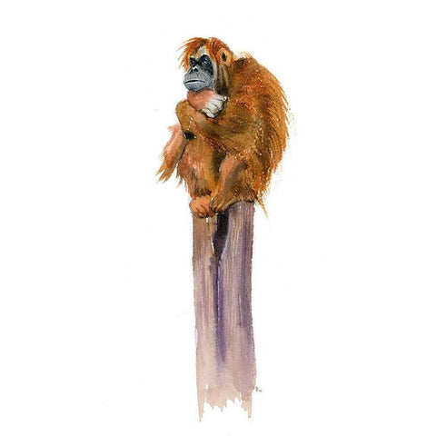 Monkey Black Modern Wood Framed Art Print with Double Matting by Shefranov, Olga