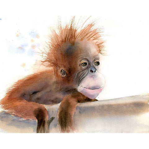 Baby Monkey Gold Ornate Wood Framed Art Print with Double Matting by Shefranov, Olga