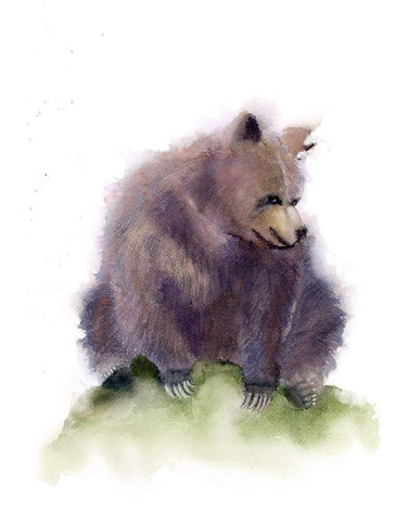 Bear White Modern Wood Framed Art Print with Double Matting by Shefranov, Olga