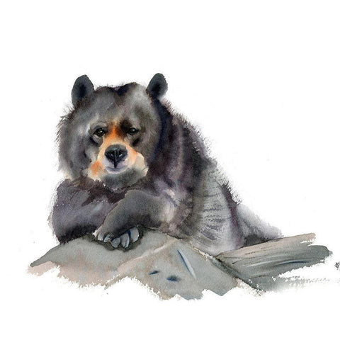 Bear III White Modern Wood Framed Art Print by Shefranov, Olga