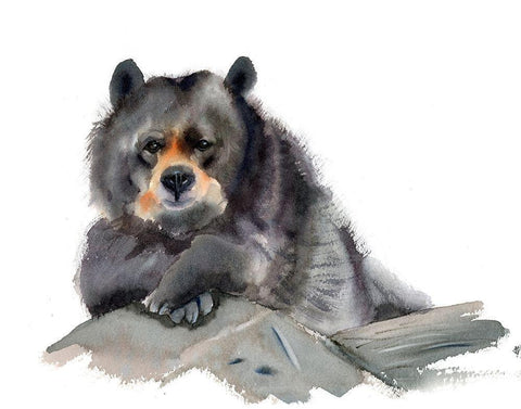 Bear III White Modern Wood Framed Art Print with Double Matting by Shefranov, Olga