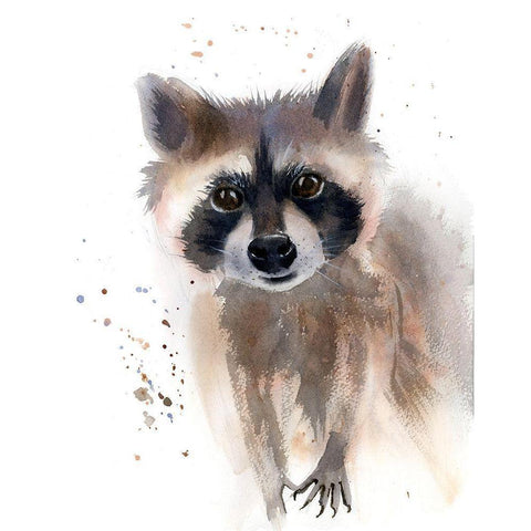Raccoon White Modern Wood Framed Art Print by Shefranov, Olga