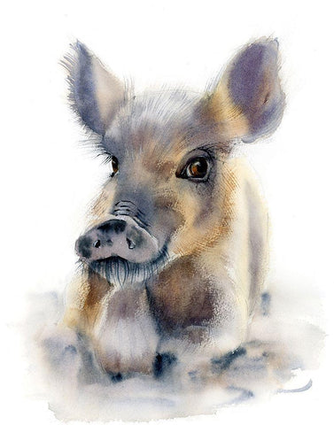 Pig White Modern Wood Framed Art Print with Double Matting by Shefranov, Olga