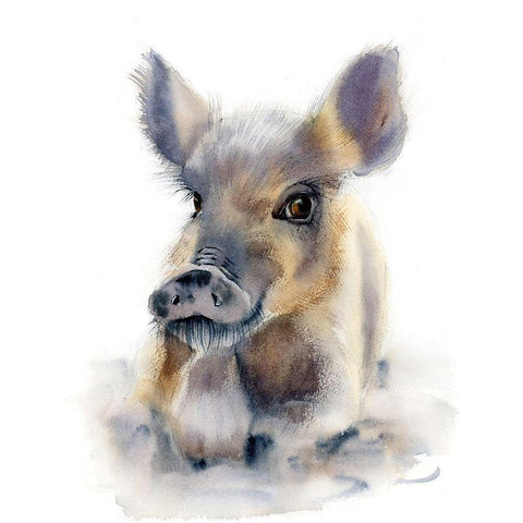 Pig White Modern Wood Framed Art Print by Shefranov, Olga
