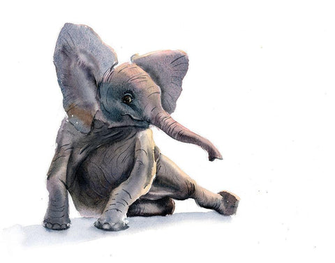 Elephant II White Modern Wood Framed Art Print with Double Matting by Shefranov, Olga