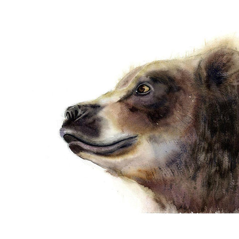 Bear White Modern Wood Framed Art Print by Shefranov, Olga