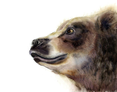 Bear White Modern Wood Framed Art Print with Double Matting by Shefranov, Olga