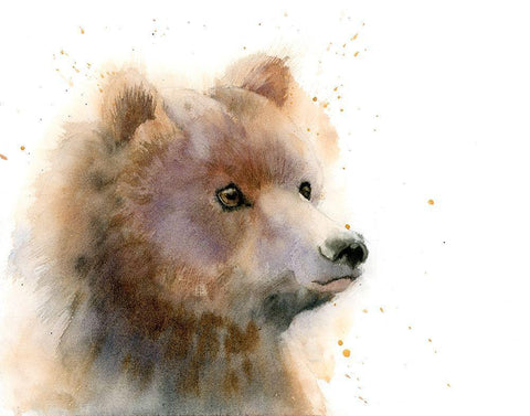 Bear II White Modern Wood Framed Art Print with Double Matting by Shefranov, Olga