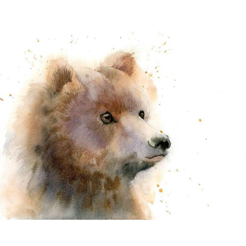 Bear II Black Modern Wood Framed Art Print with Double Matting by Shefranov, Olga