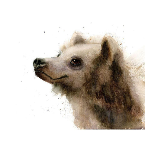 Bear III White Modern Wood Framed Art Print by Shefranov, Olga