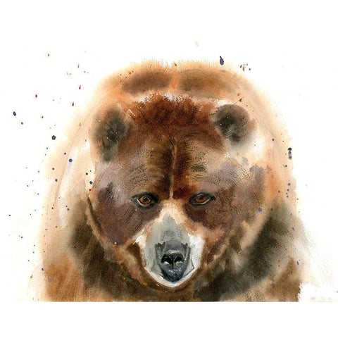 Bear IV White Modern Wood Framed Art Print by Shefranov, Olga
