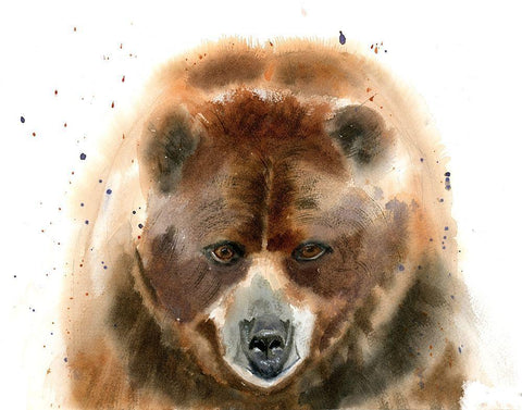 Bear IV White Modern Wood Framed Art Print with Double Matting by Shefranov, Olga