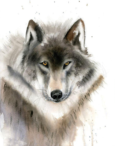 Wolf II White Modern Wood Framed Art Print with Double Matting by Shefranov, Olga