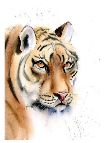 Tiger II White Modern Wood Framed Art Print with Double Matting by Shefranov, Olga