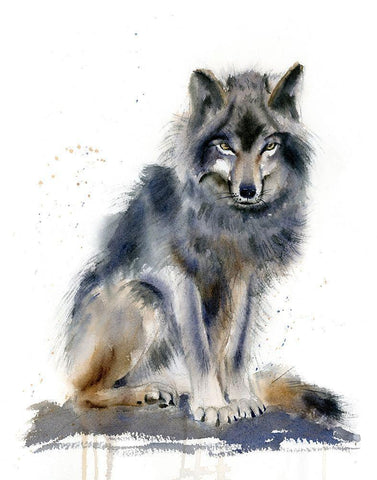 Wolf IV White Modern Wood Framed Art Print with Double Matting by Shefranov, Olga