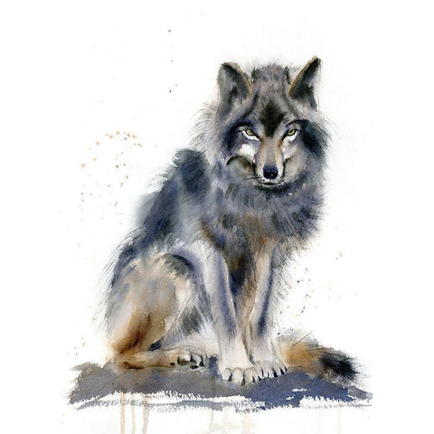 Wolf IV Black Modern Wood Framed Art Print by Shefranov, Olga