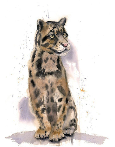 Wild Cat White Modern Wood Framed Art Print with Double Matting by Shefranov, Olga
