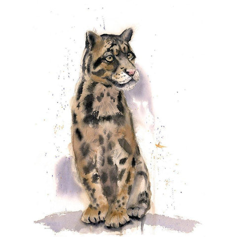 Wild Cat Black Modern Wood Framed Art Print by Shefranov, Olga