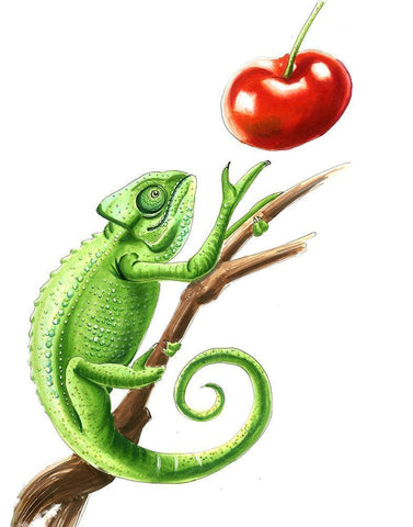 Chameleon White Modern Wood Framed Art Print with Double Matting by Shefranov, Olga