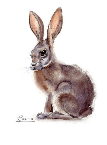 Rabbit Black Ornate Wood Framed Art Print with Double Matting by Shefranov, Olga