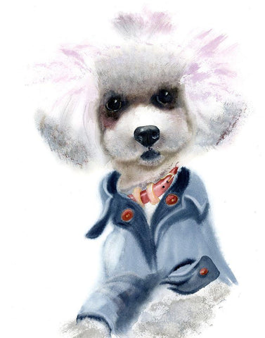 Dog Wearing Clothes White Modern Wood Framed Art Print with Double Matting by Shefranov, Olga