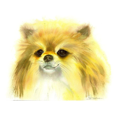Pomeranian Black Modern Wood Framed Art Print by Shefranov, Olga