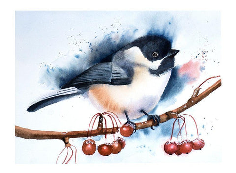 Chickadee Black Ornate Wood Framed Art Print with Double Matting by Shefranov, Olga