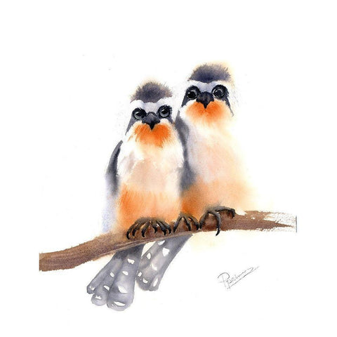 Bird Buds Black Modern Wood Framed Art Print with Double Matting by Shefranov, Olga