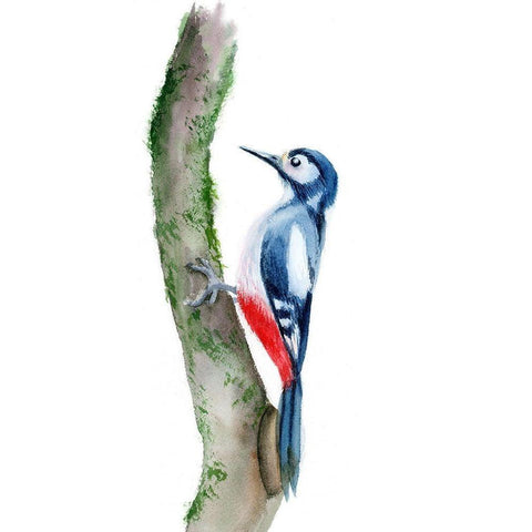 Woodpecker Black Modern Wood Framed Art Print with Double Matting by Shefranov, Olga