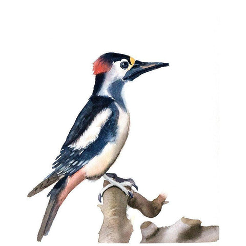 Black Beak White Modern Wood Framed Art Print by Shefranov, Olga